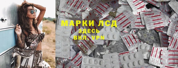 эйфоретик Баксан