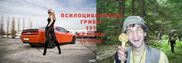 прущие крисы Балахна